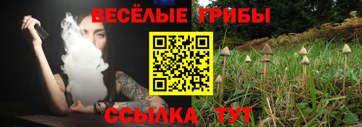 Псилоцибиновые грибы Magic Shrooms Пенза