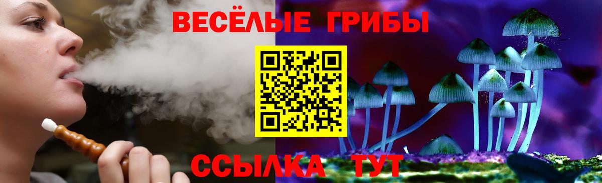 Псилоцибиновые грибы MAGIC MUSHROOMS  Вход с VPN  Пенза 